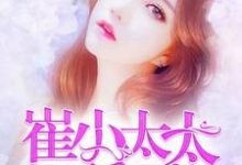 男女主人公叫宋阿暖崔晟临顾晴张乐芙的小说免费资源-红梅文学