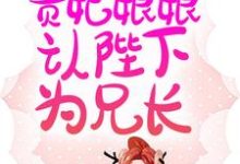 完结版《新婚夜,贵妃娘娘认陛下为兄长》章节目录在线阅读-红梅文学
