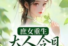 主角叫夏桉盛枷的小说在哪阅读-红梅文学