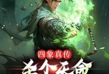 四象真传,杀个天命不是简简单单小说,四象真传,杀个天命不是简简单单在线阅读-红梅文学