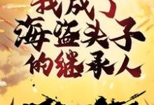 穿越明末:我成了海盗头子的继承人这本小说怎么样?免费在线阅读试试-红梅文学