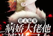 已完结小说《逆天偏宠:病娇大佬他蓄谋已久》章节在线阅读-红梅文学