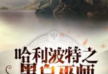 哈利波特之黑白巫师小说的免费阅读版本在哪里可以找到?-红梅文学