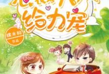 想读姜浅陆辞尧周周嘟嘟的故事，哪里可以免费找到1胎2宝：总裁大人，给力宠？-红梅文学