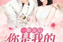 贺凛徐柠是哪本书的主角?一眼沦陷:你是我的命中注定免费读-红梅文学
