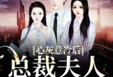 苏芜沈景淮为主角的小说叫什么?免费看心灰意冷后,总裁夫人高不可攀-红梅文学