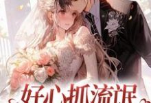 好心抓流氓，结果抓错人了小说全文阅读需要付费吗？寻找免费资源-红梅文学