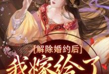 想读苏梨李承衍的故事,哪里可以免费找到解除婚约后,我嫁给了东宫之主?-红梅文学