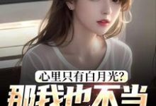 心里只有白月光?那我也不当你舔狗了这本小说怎么样?免费在线阅读试试-红梅文学