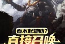 已完结小说《看不起辅助?直接召唤巨人教做人》章节免费阅读-红梅文学