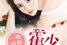主角叫林之夏霍亦琛小说一晚情深,霍少溺宠娇妻章节免费阅读-红梅文学