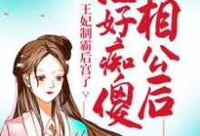 钟意邵淳是哪本书的主角?寻找治好痴傻相公后,王妃制霸后宫了免费阅读-红梅文学