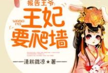 已完结小说《报告王爷,王妃要爬墙》最新章节-红梅文学