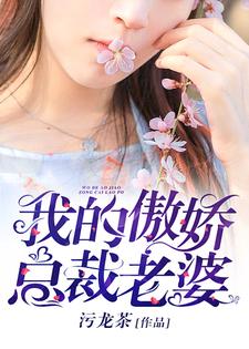 哪里能找到我的傲娇总裁老婆小说的全部章节？