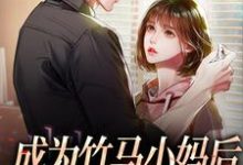 成为竹马小妈后,竹马他疯了免费阅读,成为竹马小妈后,竹马他疯了沈清梨霍御安-红梅文学