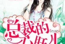 小说《总裁的心肝儿》在线章节阅读-红梅文学