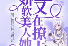 主角叫秦曼江琮的小说在哪阅读-红梅文学