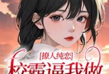 求黎幸楼崇小说免费资源-红梅文学