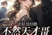 还好没结婚,不然天才哥就要跑了小说完结了吗?在哪里可以免费读到?-红梅文学