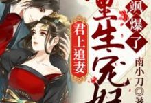 君上追妻：重生宠妃飒爆了小说阅读，君上追妻：重生宠妃飒爆了完结版-红梅文学