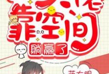宋清华小说在哪里可以看-红梅文学
