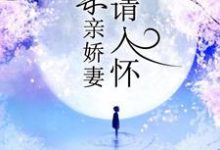 一宠成瘾:亲亲娇妻请入怀小说,一宠成瘾:亲亲娇妻请入怀在线阅读-红梅文学