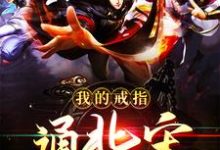 我的戒指通北宋许平赵佶小说大结局免费试读-红梅文学