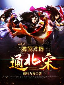我的戒指通北宋许平赵佶小说大结局免费试读