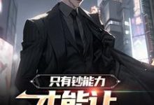 苏阳为主角的小说叫什么?免费看只有钞能力,才能让长舌妇闭嘴-红梅文学