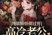 纯欲娇娇撩过界,高冷老公一吻沦陷小说,纯欲娇娇撩过界,高冷老公一吻沦陷免费阅读-红梅文学