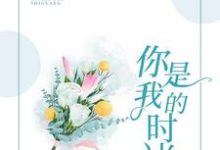 完结版《你是我的时光》章节目录在线阅读-红梅文学