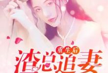 白叶秋檀允修是哪本书的主角?寻找重生后,渣总追妻火葬场免费阅读-红梅文学