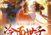 免费看和亲公主甜又软,冷面世子动了心小说的网站有哪些?-红梅文学