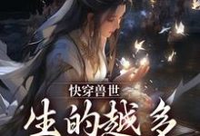 主人公阮糖白朗小说快穿兽世:生的越多,活的越久!在线章节阅读-红梅文学