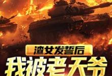 渣女发誓后,我被老天爷误伤了苏晨小说大结局免费试读-红梅文学