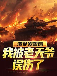 渣女发誓后，我被老天爷误伤了苏晨小说大结局免费试读