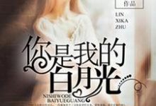 你是我的白月光这本小说在哪里可以看?哪里有免费试读章节?-红梅文学