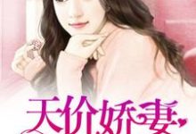 寻找一胎二宝：天价娇妻哪里逃小说的最新更新章节-红梅文学