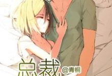 总裁宠妻无度小说的免费阅读版本在哪里可以找到？-红梅文学