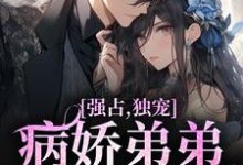 强占，独宠！病娇弟弟嗜我如命江衍黎漾，强占，独宠！病娇弟弟嗜我如命章节在线阅读-红梅文学