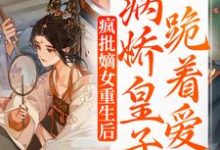 完结版《疯批嫡女重生后,病娇皇子跪着爱》在线免费阅读-红梅文学