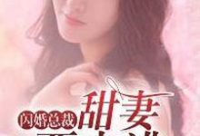 闪婚总裁:甜妻要出逃最新章节,闪婚总裁:甜妻要出逃免费阅读-红梅文学