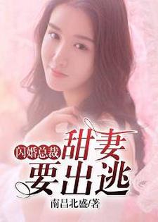 闪婚总裁：甜妻要出逃最新章节，闪婚总裁：甜妻要出逃免费阅读