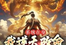 求系统在身,我逆天改命,不讲武德小说免费资源-红梅文学