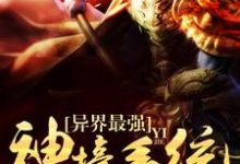 陈修伟凌柔叶轻灵小说在哪里可以看-红梅文学