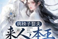 已完结小说《病秧子娶夫:来人,本王要冲喜!》章节在线阅读-红梅文学