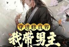 《穿进修真界:我带男主得道升仙》小说主角浮笙晏苏章节章节免费在线阅读-红梅文学