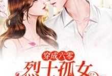 穿成六零烈士孤女,开局闪婚军官小说的免费电子版在哪里可以下载或阅读?-红梅文学