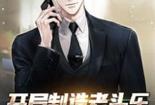 求开局制造老头乐，不小心震惊全网！小说的全文免费阅读链接-红梅文学