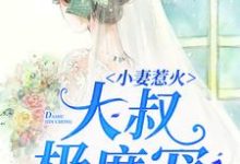 小妻惹火:大叔极度宠小说有没有完结版在线?-红梅文学